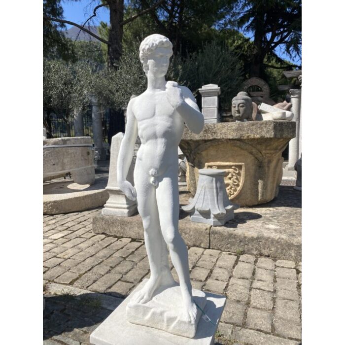 STATUA DAVID H 84