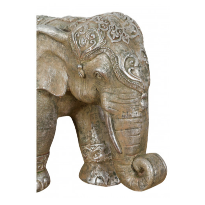 ELEFANTE ANTICATO - immagine 2